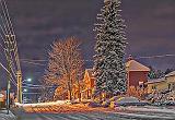 Snowy McGill Street_48137-8